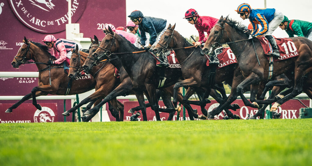 France Galop Live Horse racing and events