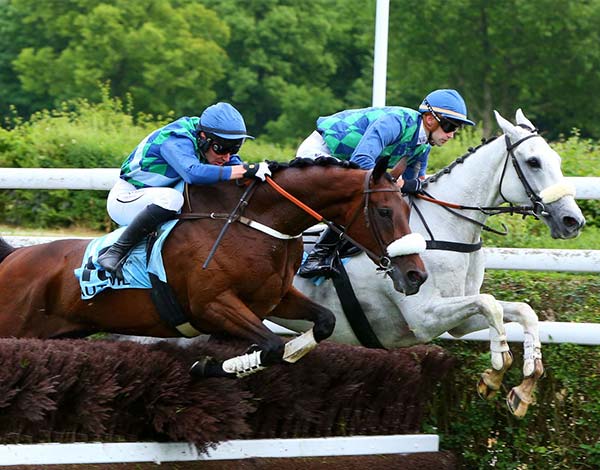 Grand choix de Bandeaux pour Course