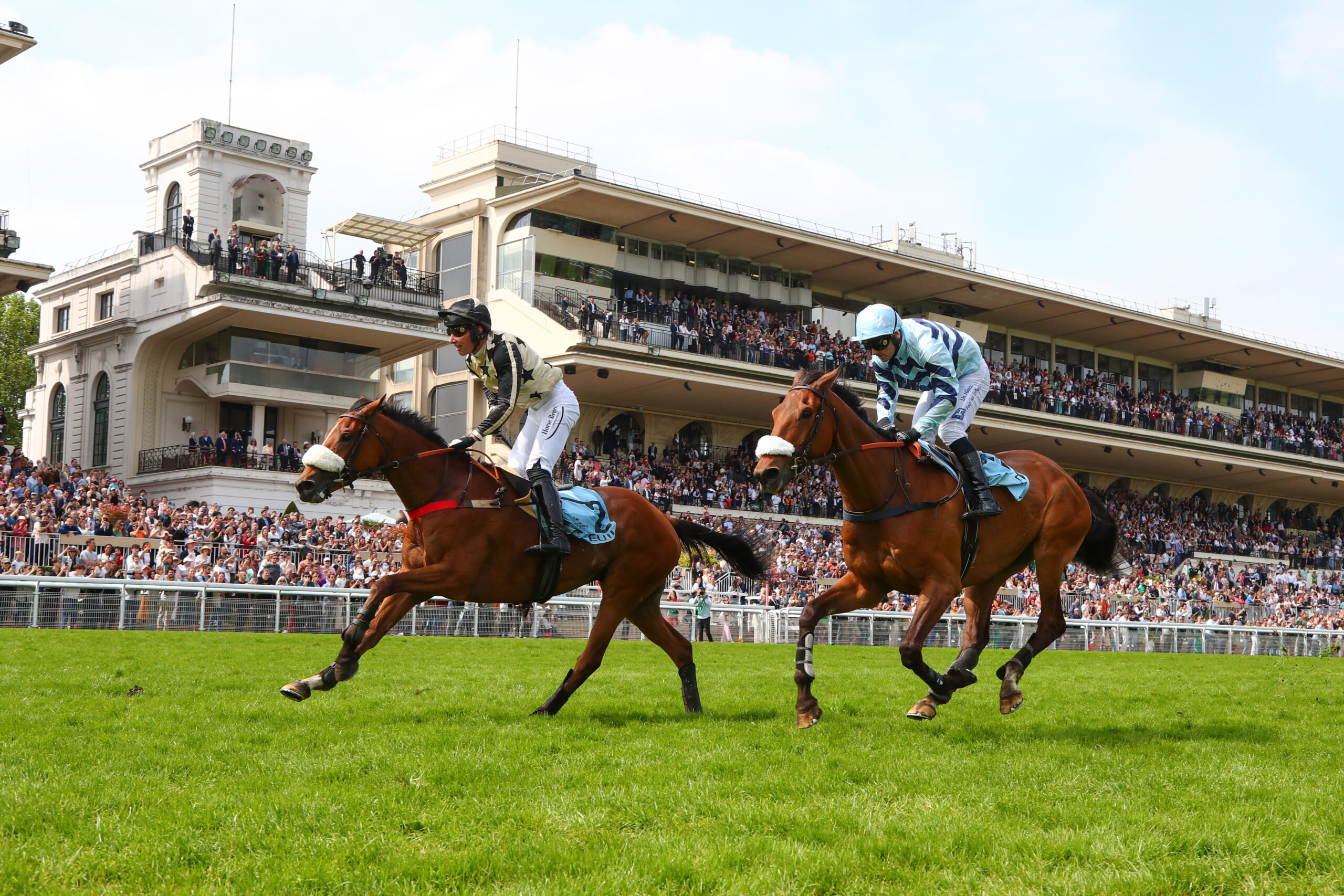 Grand SteepleChase de Paris France Galop Live
