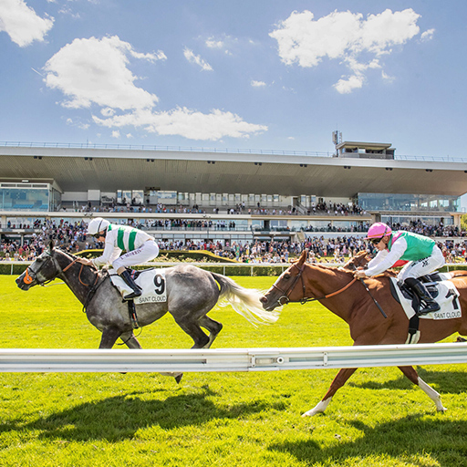 SaintCloud racecourse France Galop Live