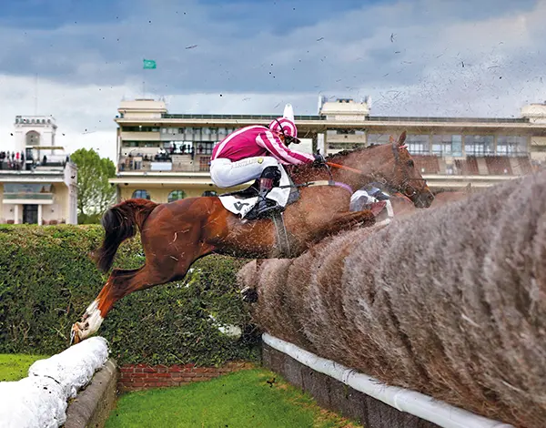 Grand choix de Bandeaux pour Course