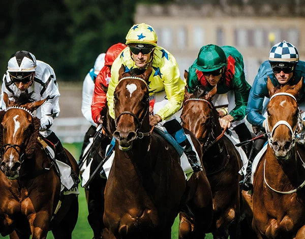 Bien-être équin  France Galop Live