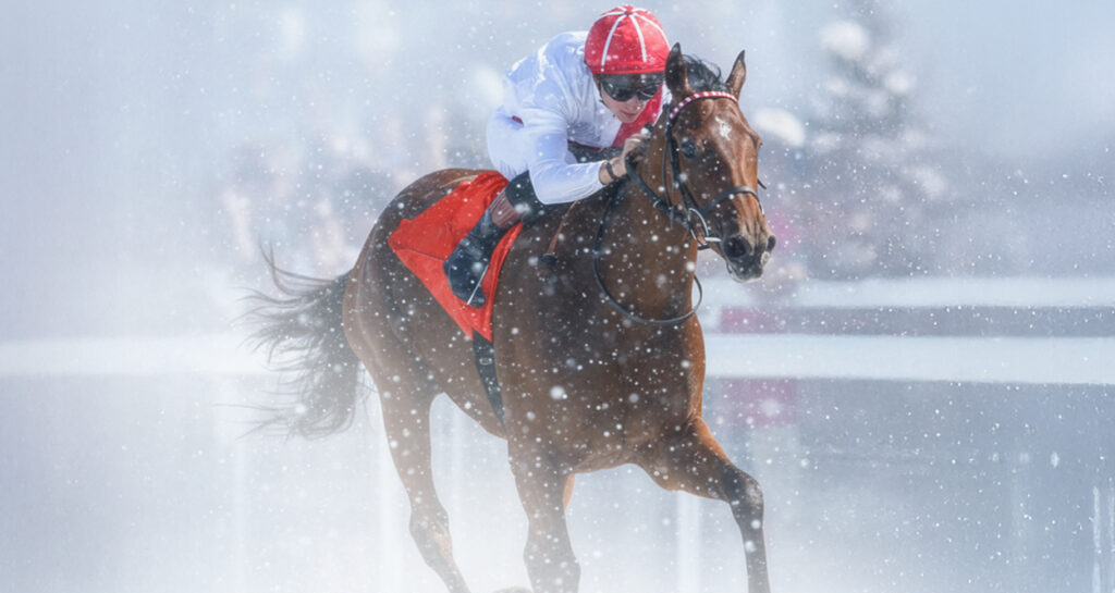 Noel magique à l'hippodrome