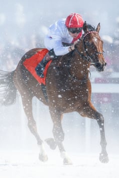 Noël magique à l'hippodrome