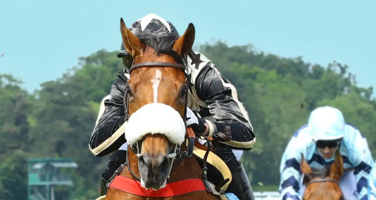 GRAND STEEPLECHASE DE PARIS 2024 Auteuil racecourse