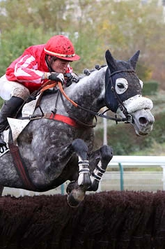 48H de l'Obstacle