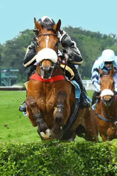 Grand Steeple-Chase de Paris