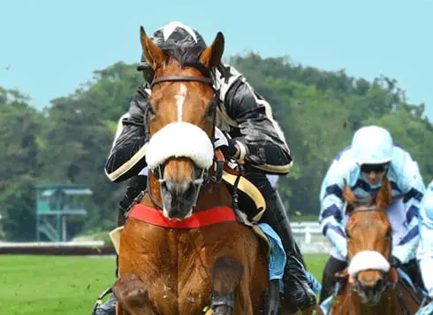 GRAND STEEPLE-CHASE DE PARIS